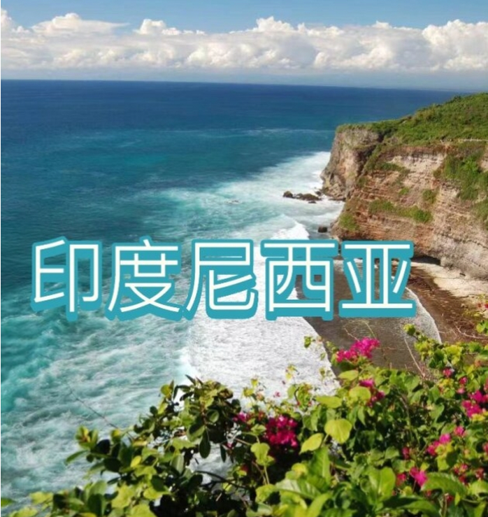 际电商(印尼)产业博览会开元棋牌2025中国国(图3) 际电商(印尼)产业博览会开元棋牌2025中国国(图3)